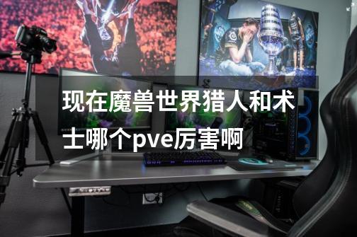 现在魔兽世界猎人和术士哪个pve厉害啊-第1张-游戏信息-龙启网