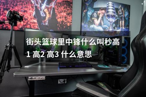 街头篮球里中锋什么叫秒高1 高2 高3 什么意思-第1张-游戏信息-龙启网
