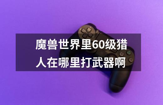 魔兽世界里60级猎人在哪里打武器啊-第1张-游戏信息-龙启网