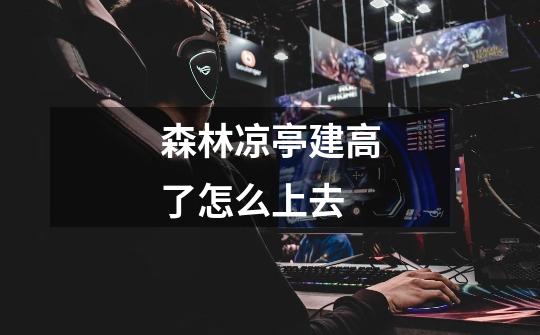 森林凉亭建高了怎么上去-第1张-游戏信息-龙启网