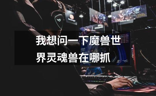 我想问一下魔兽世界灵魂兽在哪抓-第1张-游戏信息-龙启网
