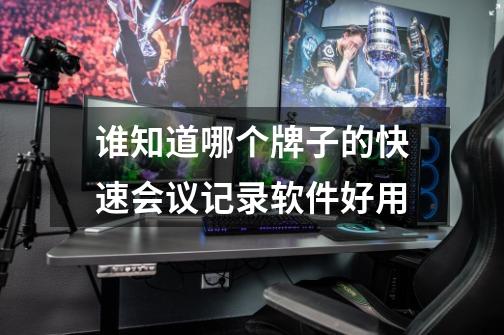 谁知道哪个牌子的快速会议记录软件好用-第1张-游戏信息-龙启网