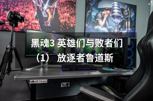 黑魂3 英雄们与败者们(1) 放逐者鲁道斯-第1张-游戏信息-龙启网