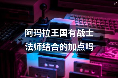 阿玛拉王国有战士法师结合的加点吗-第1张-游戏信息-龙启网