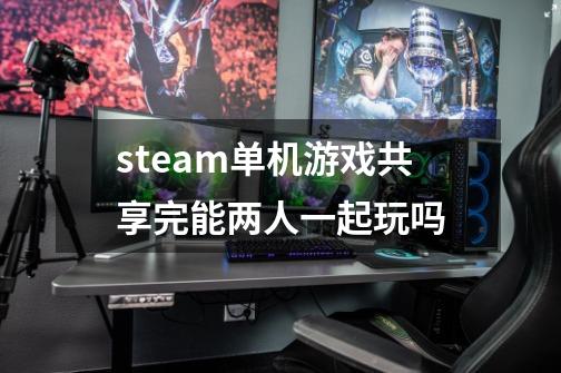 steam单机游戏共享完能两人一起玩吗-第1张-游戏信息-龙启网
