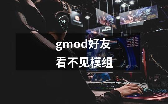 gmod好友看不见模组-第1张-游戏信息-龙启网
