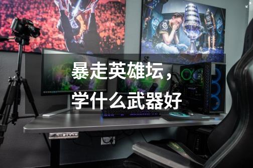 暴走英雄坛,学什么武器好-第1张-游戏信息-龙启网