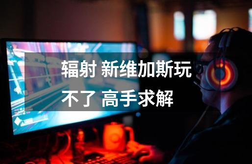 辐射 新维加斯玩不了 高手求解-第1张-游戏信息-龙启网
