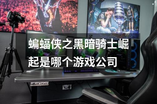 蝙蝠侠之黑暗骑士崛起是哪个游戏公司-第1张-游戏信息-龙启网
