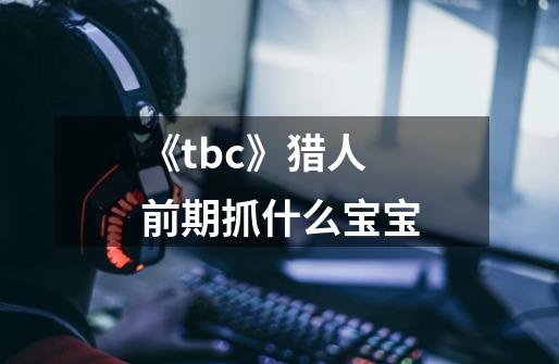 《tbc》猎人前期抓什么宝宝-第1张-游戏信息-龙启网