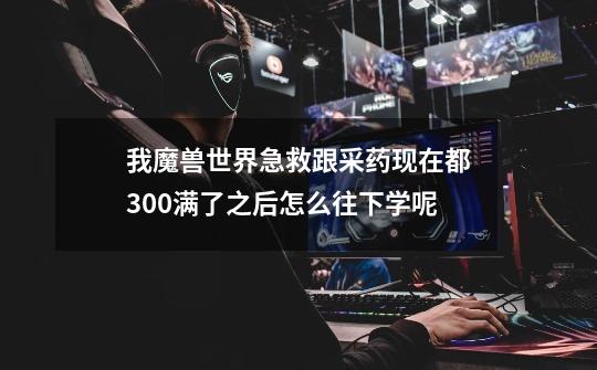 我魔兽世界急救跟采药现在都300满了之后怎么往下学呢-第1张-游戏信息-龙启网