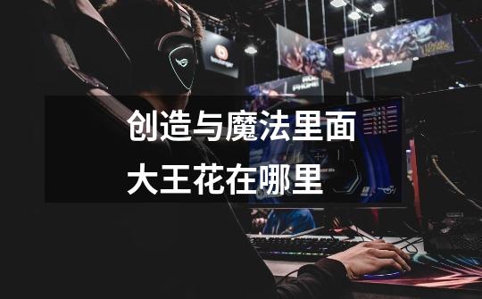 创造与魔法里面大王花在哪里-第1张-游戏信息-龙启网