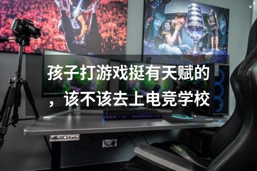 孩子打游戏挺有天赋的,该不该去上电竞学校-第1张-游戏信息-龙启网