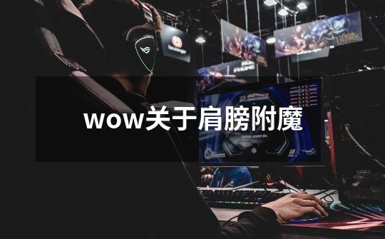 wow关于肩膀附魔-第1张-游戏信息-龙启网