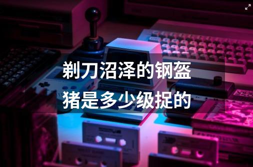 剃刀沼泽的钢盔猪是多少级捉的-第1张-游戏信息-龙启网