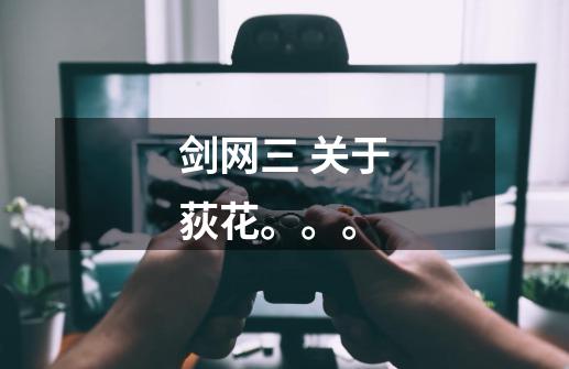 剑网三 关于荻花。。。-第1张-游戏信息-龙启网
