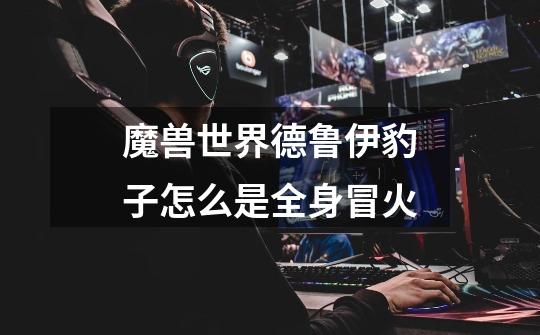 魔兽世界德鲁伊豹子怎么是全身冒火-第1张-游戏信息-龙启网