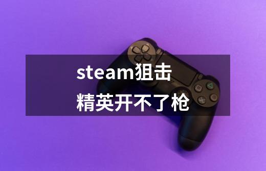 steam狙击精英开不了枪-第1张-游戏信息-龙启网