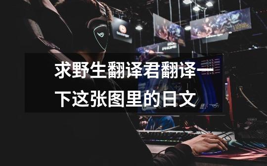求野生翻译君翻译一下这张图里的日文-第1张-游戏信息-龙启网