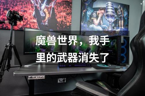 魔兽世界，我手里的武器消失了-第1张-游戏信息-龙启网