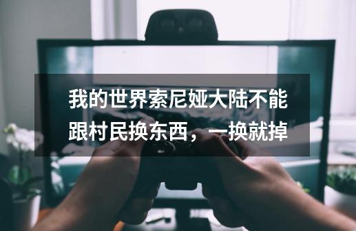 我的世界索尼娅大陆不能跟村民换东西,一换就掉-第1张-游戏信息-龙启网