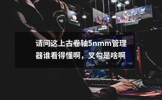 请问这上古卷轴5nmm管理器谁看得懂啊，叉勾是啥啊-第1张-游戏信息-龙启网