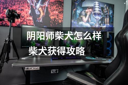阴阳师柴犬怎么样 柴犬获得攻略-第1张-游戏信息-龙启网