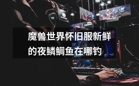 魔兽世界怀旧服新鲜的夜鳞鲷鱼在哪钓-第1张-游戏信息-龙启网