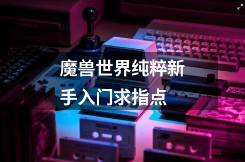 魔兽世界纯粹新手入门求指点-第1张-游戏信息-龙启网
