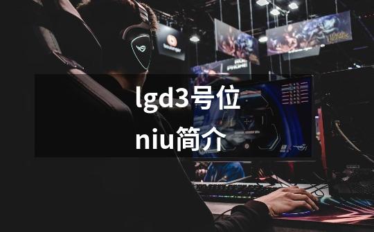 lgd3号位niu简介-第1张-游戏信息-龙启网