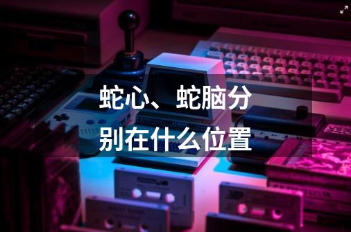蛇心、蛇脑分别在什么位置-第1张-游戏信息-龙启网