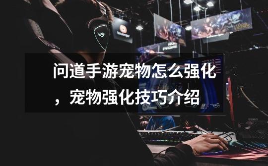 问道手游宠物怎么强化,宠物强化技巧介绍-第1张-游戏信息-龙启网