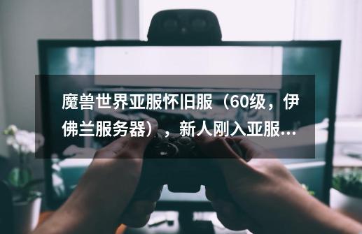 魔兽世界亚服怀旧服（60级，伊佛兰服务器），新人刚入亚服，用的黑盒工坊，图中间的技能cd条怎么去掉-第1张-游戏信息-龙启网