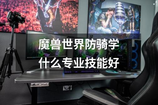 魔兽世界防骑学什么专业技能好-第1张-游戏信息-龙启网