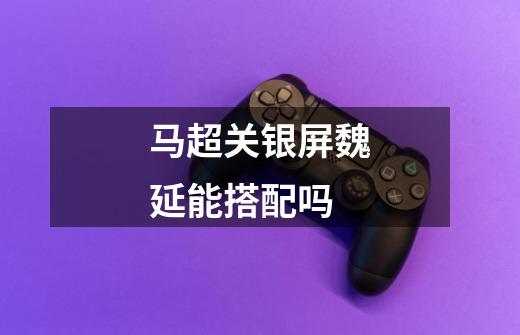 马超关银屏魏延能搭配吗-第1张-游戏信息-龙启网