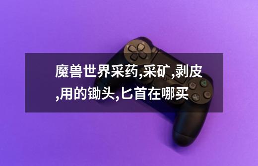 魔兽世界采药,采矿,剥皮,用的锄头,匕首在哪买-第1张-游戏信息-龙启网