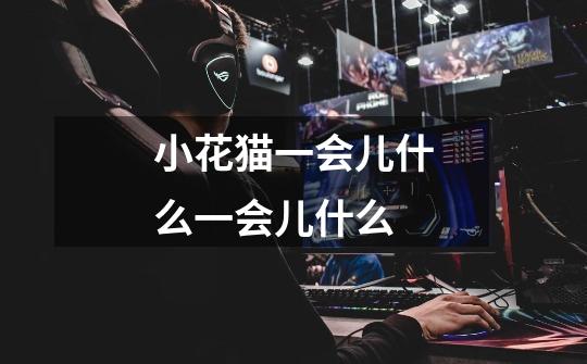 小花猫一会儿什么一会儿什么-第1张-游戏信息-龙启网