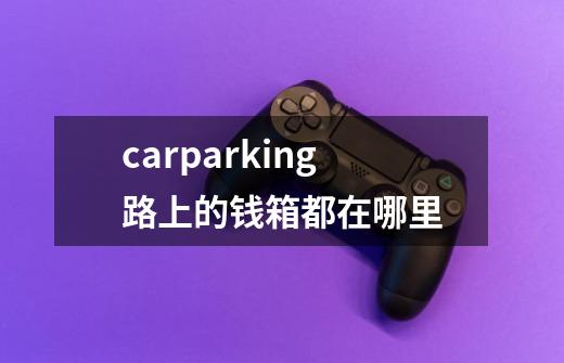 carparking路上的钱箱都在哪里-第1张-游戏信息-龙启网