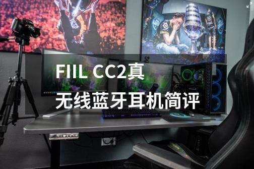FIIL CC2真无线蓝牙耳机简评-第1张-游戏信息-龙启网
