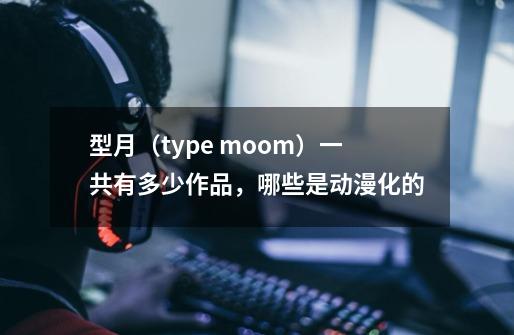 型月(type moom)一共有多少作品,哪些是动漫化的-第1张-游戏信息-龙启网