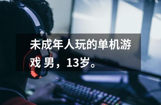 未成年人玩的单机游戏 男，13岁。-第1张-游戏信息-龙启网
