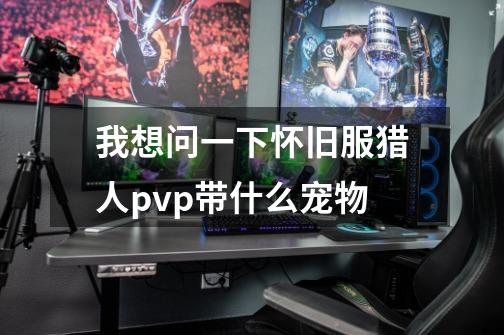 我想问一下怀旧服猎人pvp带什么宠物-第1张-游戏信息-龙启网