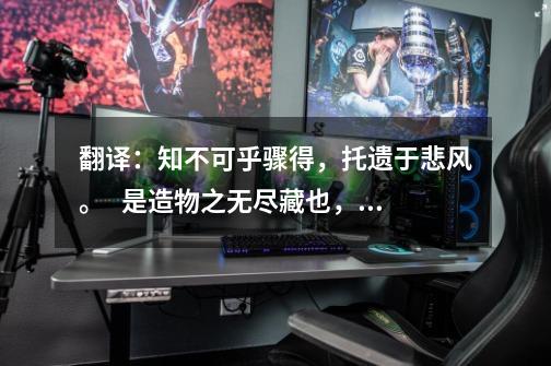 翻译:知不可乎骤得,托遗于悲风。 是造物之无尽藏也,而吾与子之所共适-第1张-游戏信息-龙启网