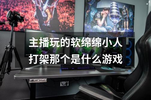主播玩的软绵绵小人打架那个是什么游戏-第1张-游戏信息-龙启网