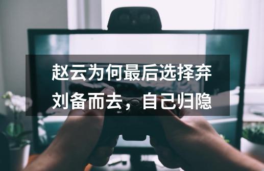 赵云为何最后选择弃刘备而去,自己归隐-第1张-游戏信息-龙启网