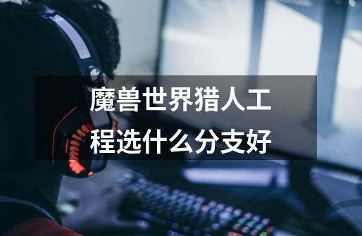 魔兽世界猎人工程选什么分支好-第1张-游戏信息-龙启网