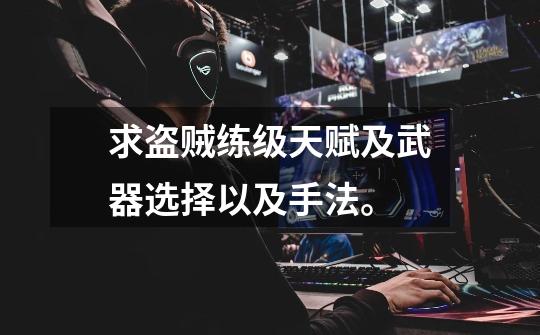 求盗贼练级天赋及武器选择以及手法。-第1张-游戏信息-龙启网