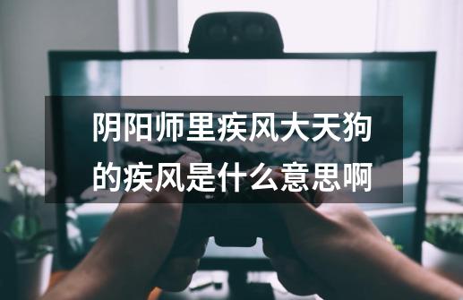 阴阳师里疾风大天狗的疾风是什么意思啊-第1张-游戏信息-龙启网