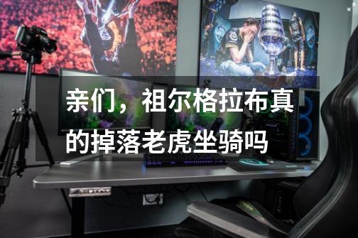 亲们，祖尔格拉布真的掉落老虎坐骑吗-第1张-游戏信息-龙启网