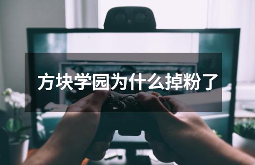 方块学园为什么掉粉了-第1张-游戏信息-龙启网